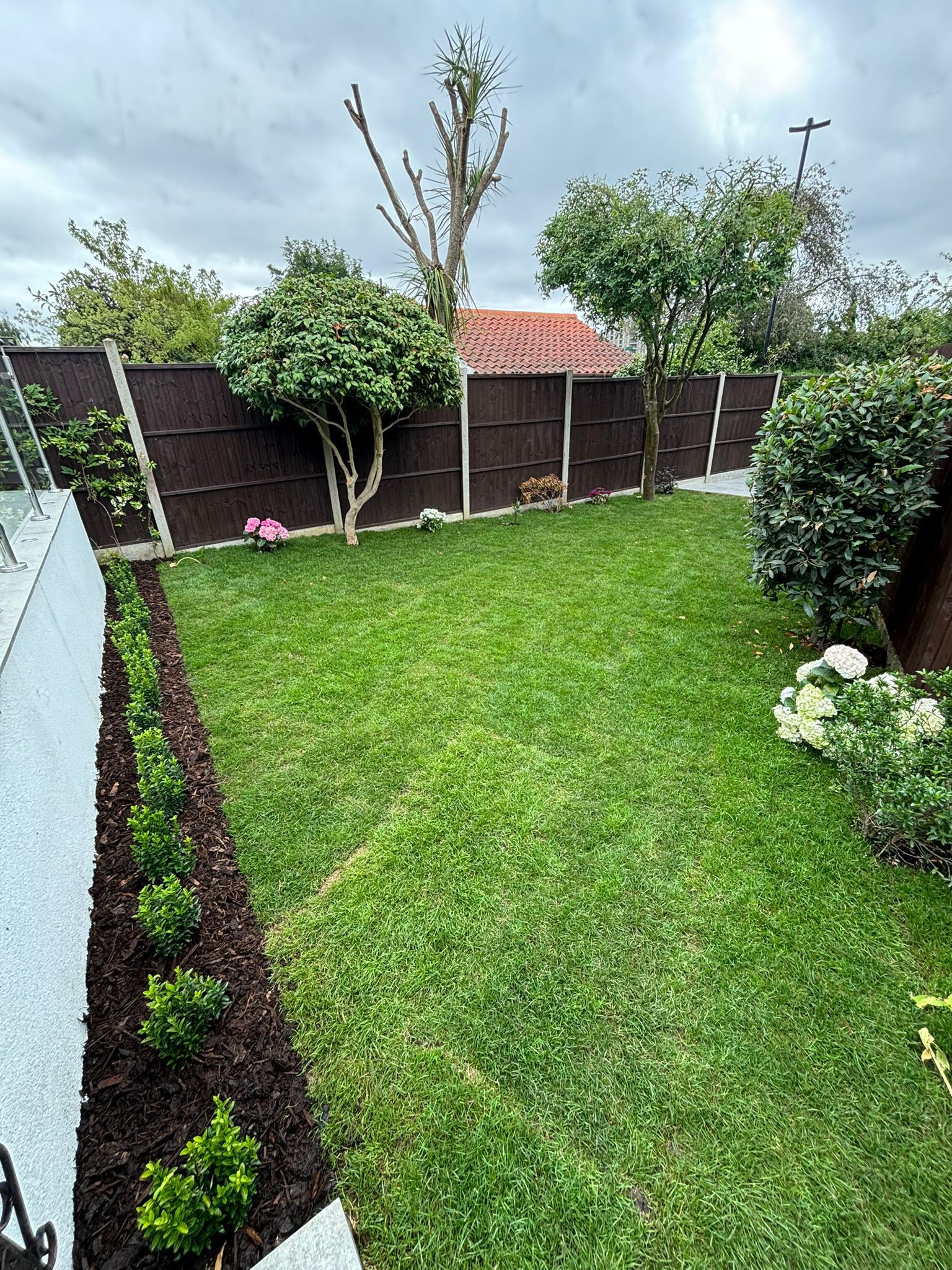 Brand New Full Landscape
