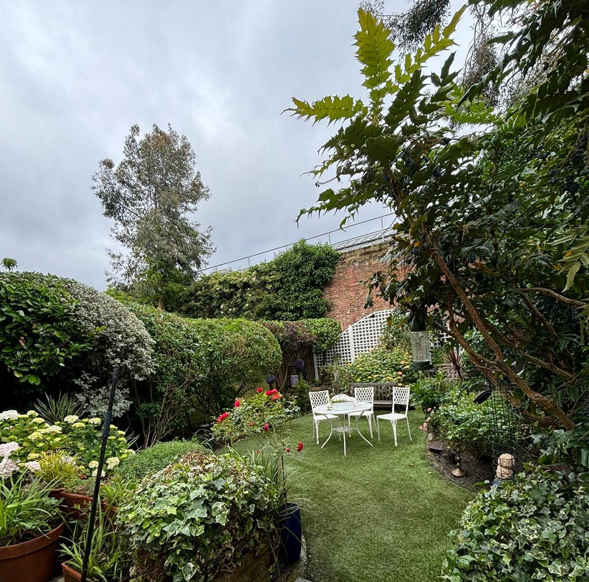 Neat & Tidy Garden Maintenance